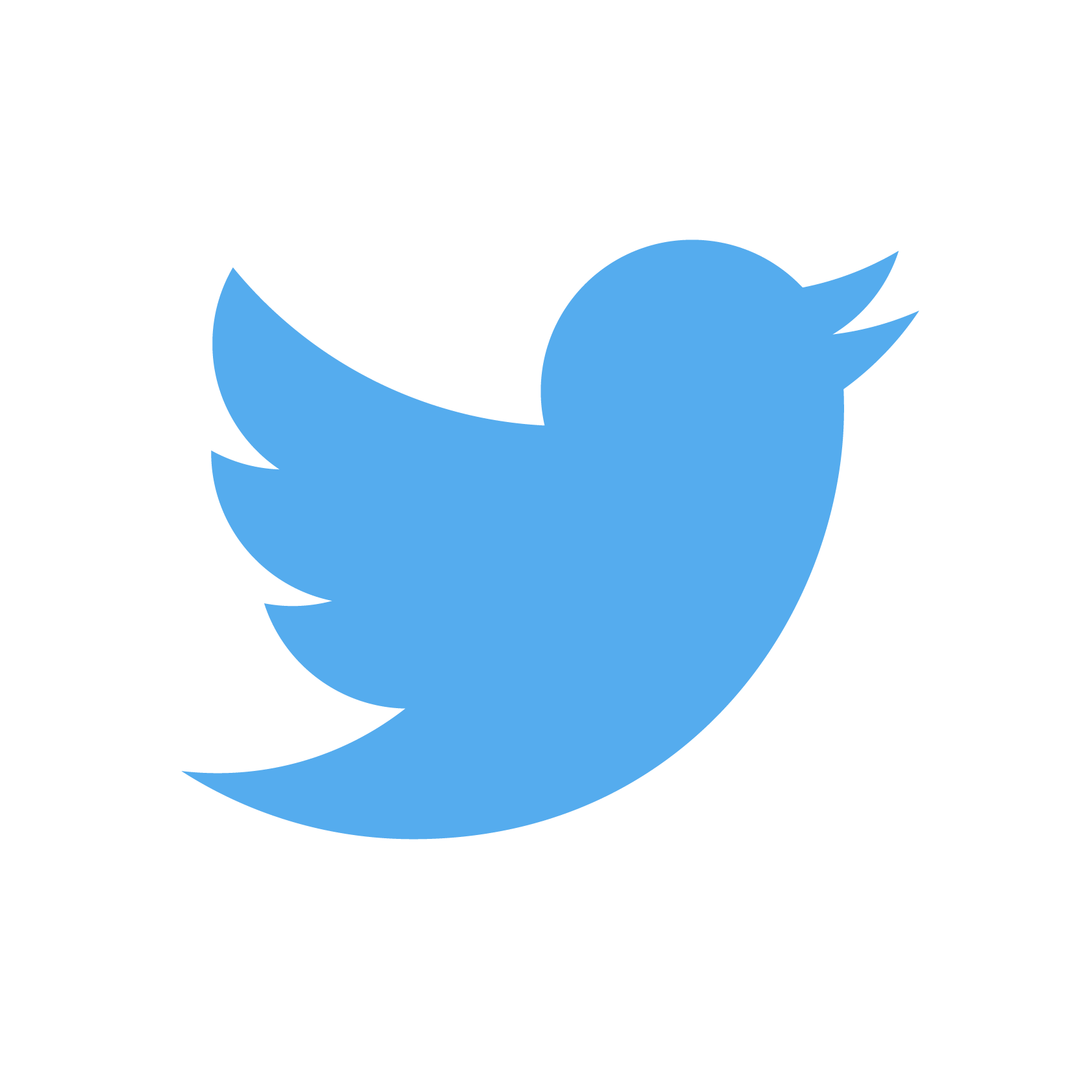 The blue twitter bird logo.